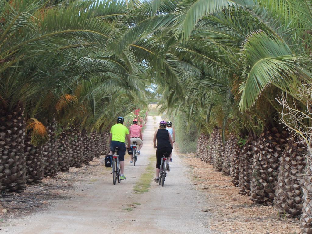 קמפוס Finca Es Torrent מראה חיצוני תמונה
